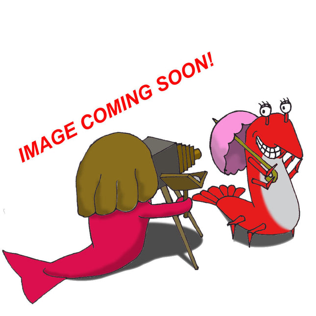 Misc. Marine Fish