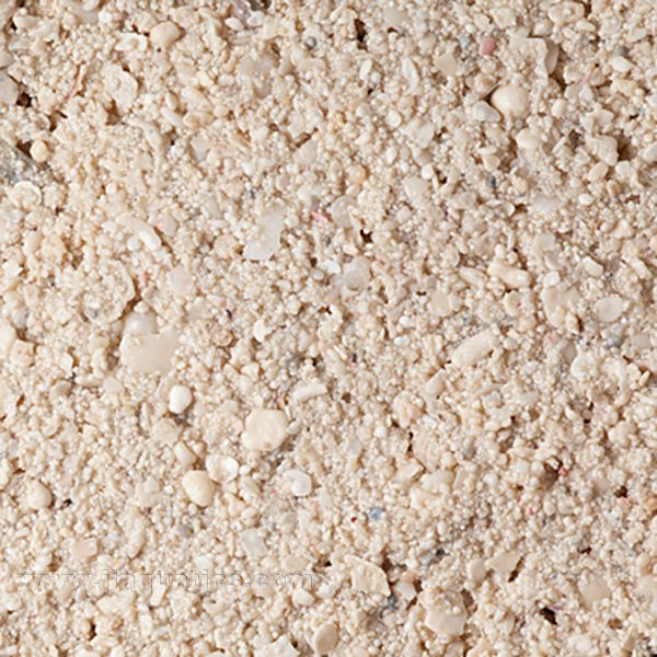 Caribsea Ocean Direct Original Live Sand - 5lb