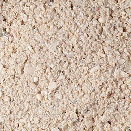 Caribsea Ocean Direct Original Live Sand - 40lb