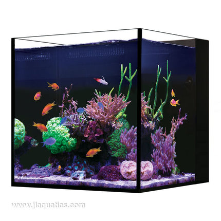 Red Sea Desktop Cube Aquarium saltwater aquarium set-up