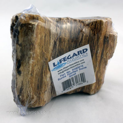 Lifegard Burma Petrified Stone - Small