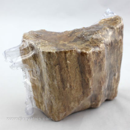 Lifegard Burma Petrified Stone - Medium