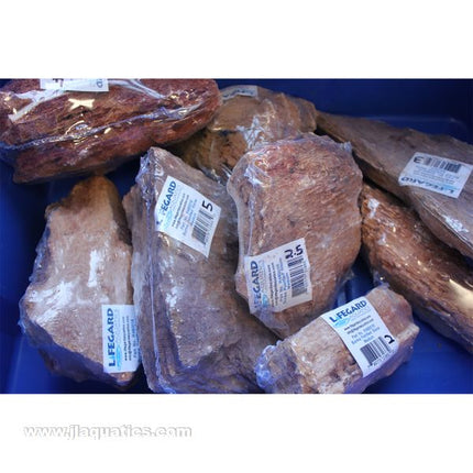 Buy Lifegard Burma Petrified Stone - Medium in Canada