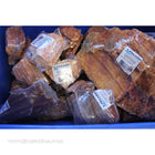 Buy Lifegard Redwood Petrified Stone - All Sizes in Canada