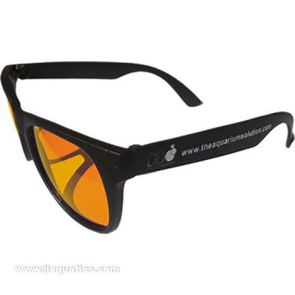 D-D Coral Viewing Glasses