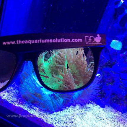 D-D Coral Viewing Glasses