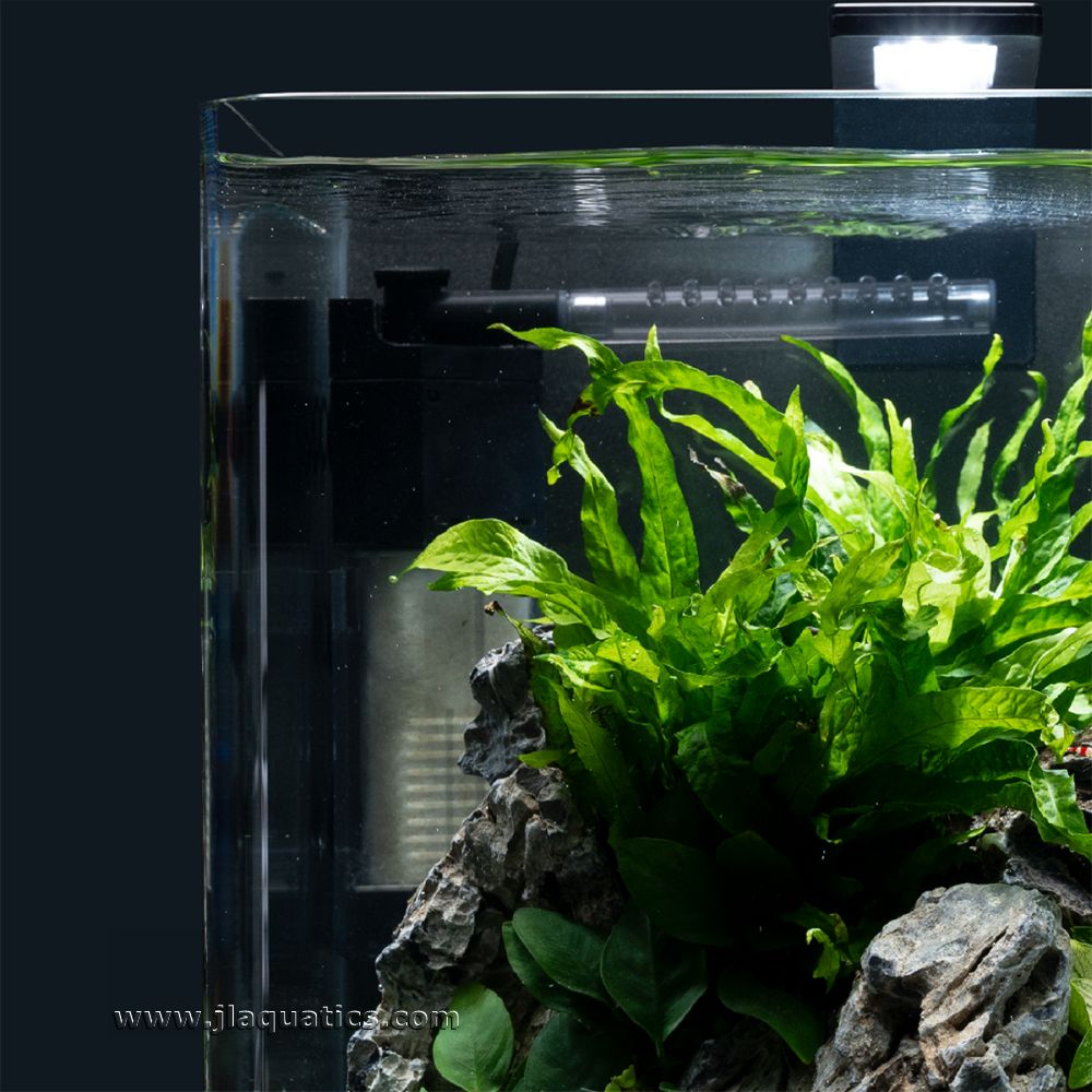 Dennerle NanoXL Corner Filter 60 being used in a freshwater aquarium.