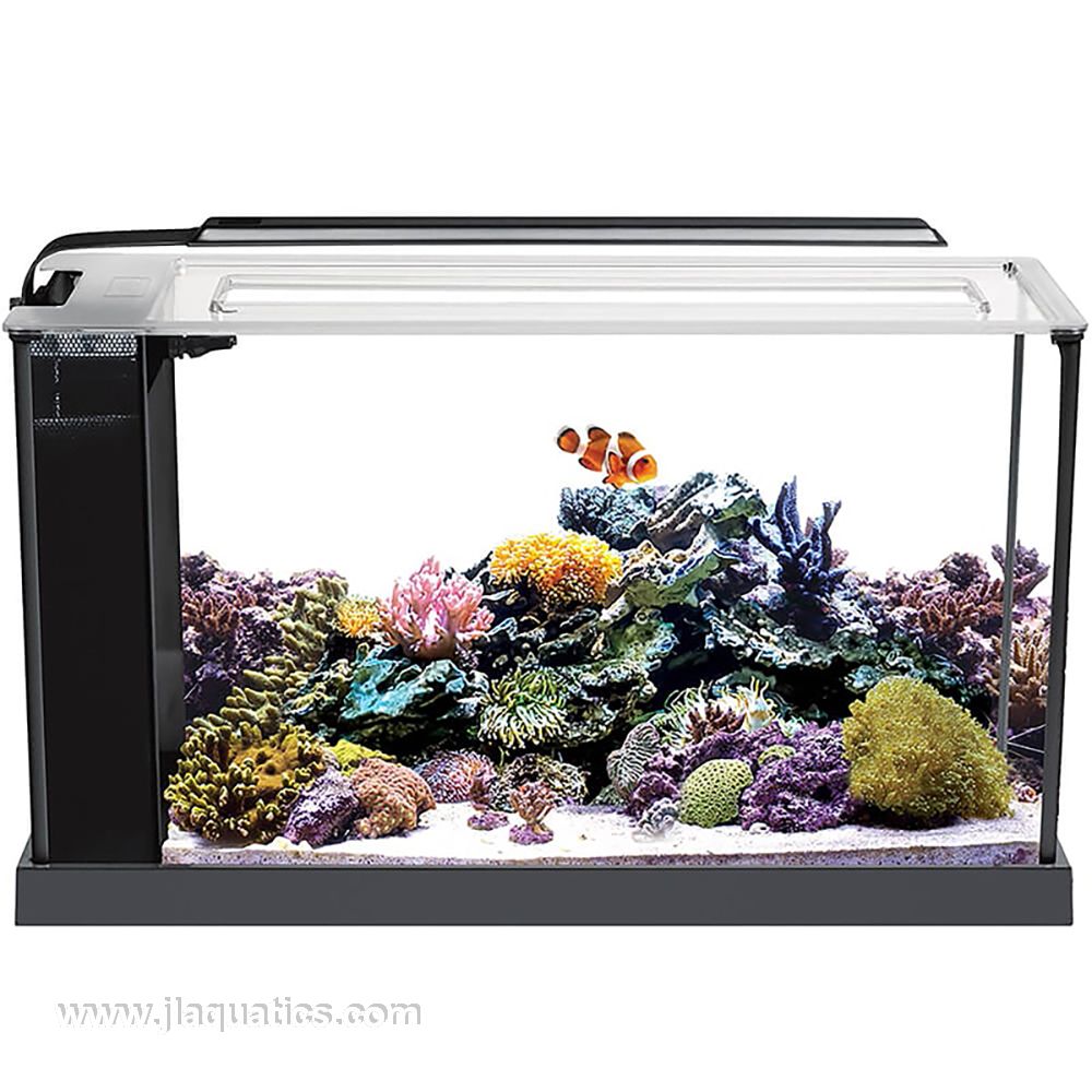 Fluval Sea EVO Aquarium Kit setup with fish and corals
