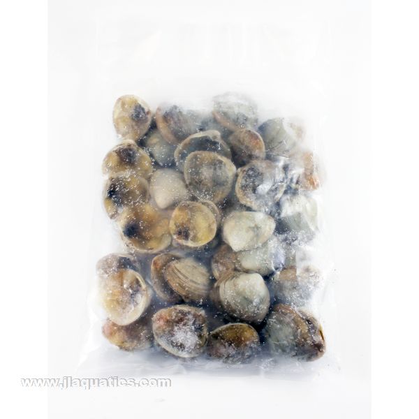 Ocean Nutrition Frozen Clams on the Half Shell (8 oz) package contents