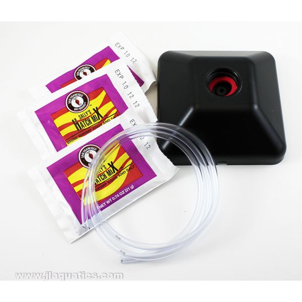 San Francisco Bay Brand Brine Shrimp Hatchery Kit