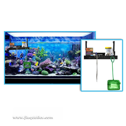 Flipper Tank Buddy for Rimless Aquariums reef tank set-up