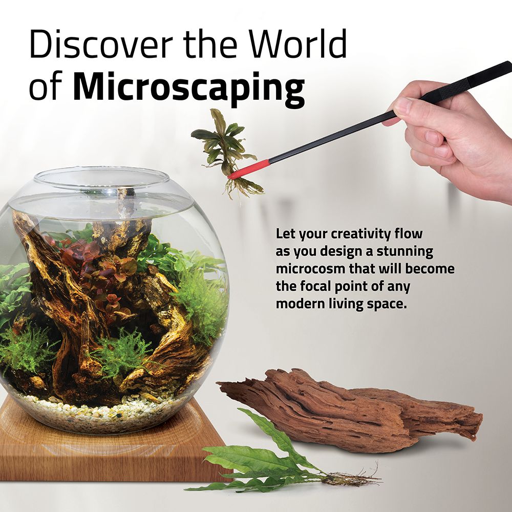 Discover the world of microscaping modern a creative mini ecosystem with your Fluval LIV Microscaping Aquarium Kit