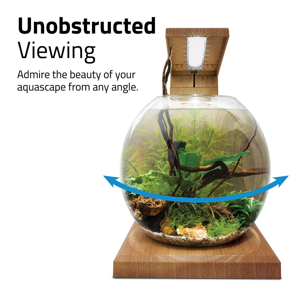 The Fluval LIV Microscaping Aquarium Kit allows unobstructed viewing from all angles