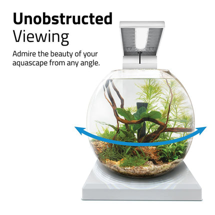 The Fluval LIV Microscaping Aquarium Kit allows unobstructed viewing from all angles