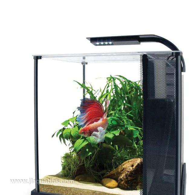 Fluval Betta Premium Aquarium Kit set-up with fish in it.