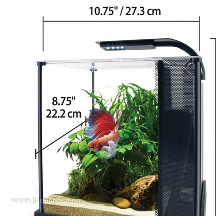 Fluval Betta Premium Aquarium Kit dimensions of aquarium