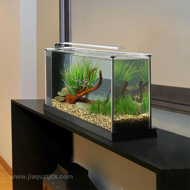 Fluval Spec 5 gallon Aquarium Kit set-up with fish and plants