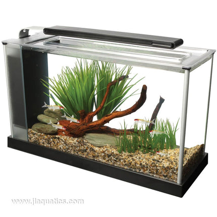 Fluval Spec 5 gallon Aquarium Kit side view when set-up with fish and plants