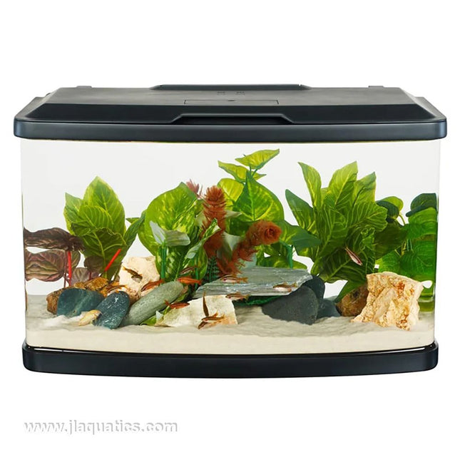 Fluval Vista 16 Gallon Aquarium set-up with plants and fish