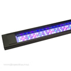 Fluval Marine 3.0 Bluetooth LED for Flex Aquariums