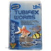 Hikari Frozen Tubifex Worms - 3.5oz Cube