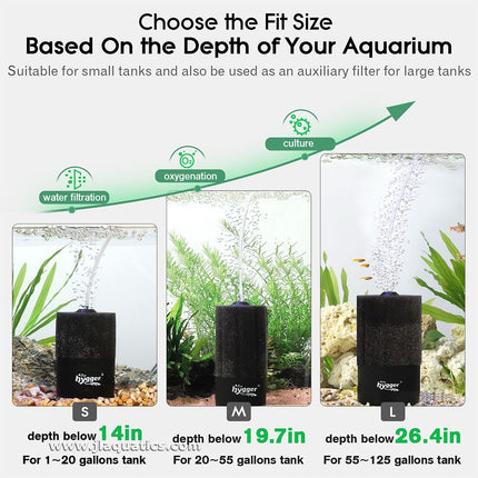 How to choose the best Hygger 2-in-1 Sponge Filter for your freshwater or marine aquarium
