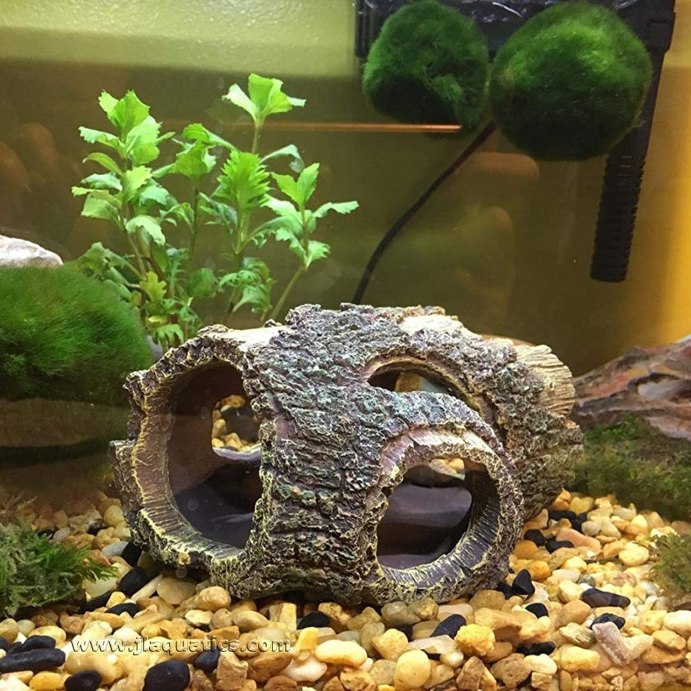 Hygger Betta Tree Trunk in an aquarium