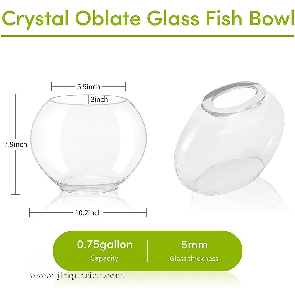 Hygger Glass Fish Bowl