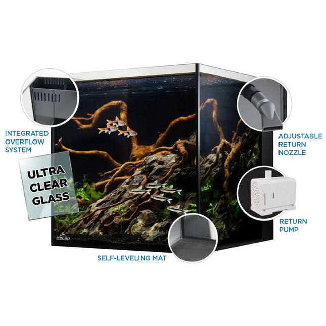 IceCap All In One Glass Aquarium - 10 Gallon features and highlights