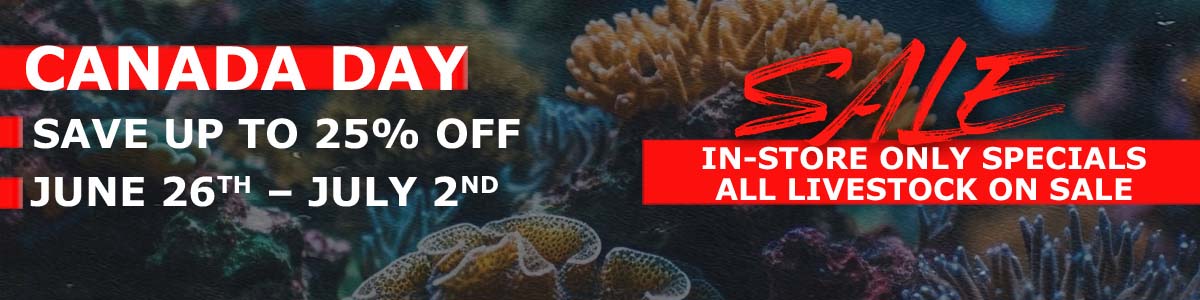 J&L Aquatics Ltd.