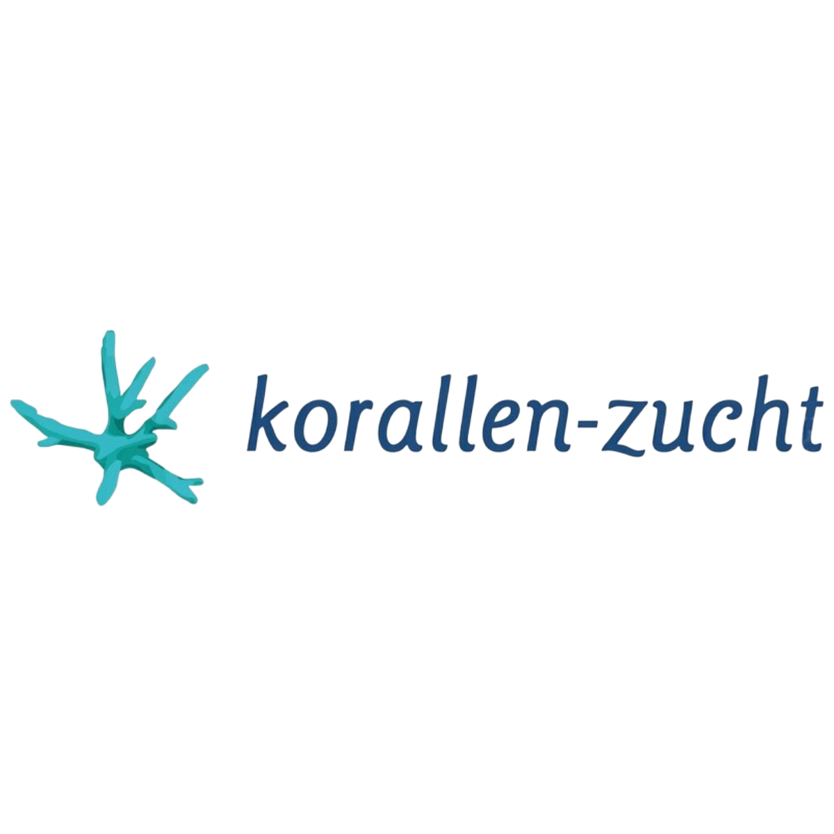 Korallen-Zucht