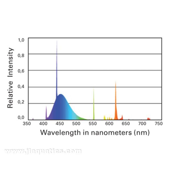 ATI Purple Plus T5 Bulb (24 Watt) spectrum chart showing light distribution over a saltwater aquarium