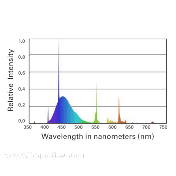 ATI Coral Plus T5 Bulb (39 Watt) spectrum chart showing light distribution over a saltwater aquarium