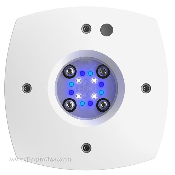 Aqua Illumination Sol LED - White bottom of fixture showing leds