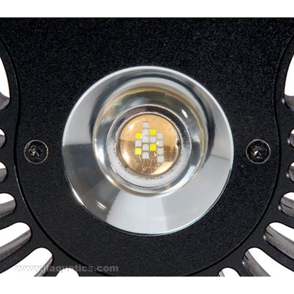 ライト・照明器具 Kessil A80 Tuna Blue &SpectralController A80 Tuna Blue Saltwater Aquarium LED w/Mini Gooseneck