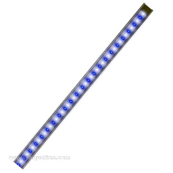 Buy Reef Brite LumiLite 50/50 LED - 24 Inch at www.jlaquatics.com