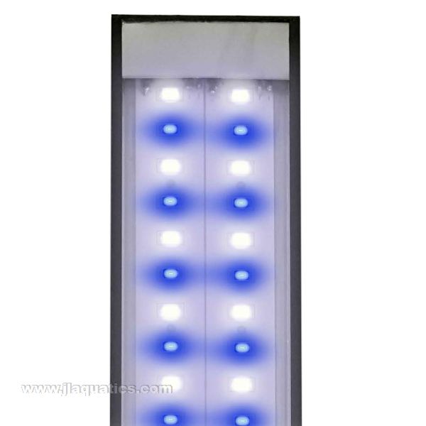 Reef Brite LED