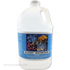 ESV B-Ionic Magnesium 1 Gallon