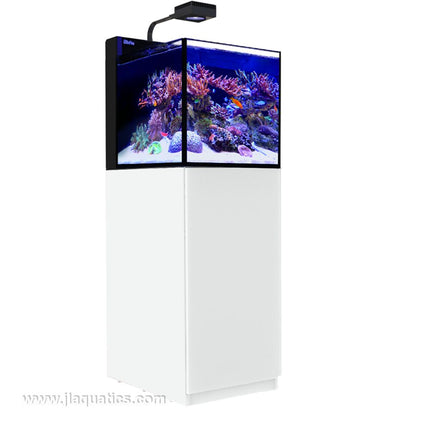 Red Sea Max Nano Peninsula aquarium with white cabinet