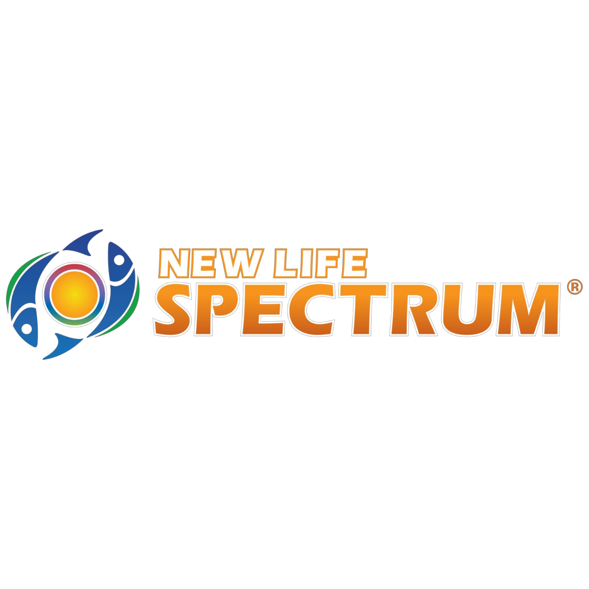New Life International