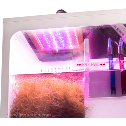 Neptune GRO Refugium Light - Flat Mount being used and growing algae