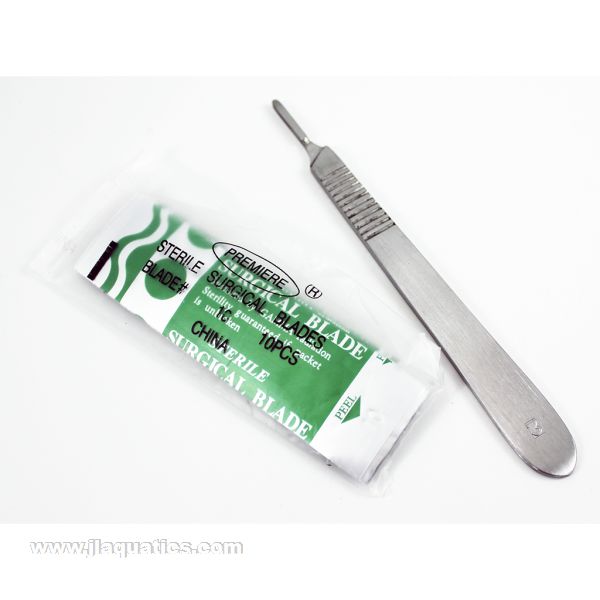 Oceans Wonders Soft Coral Scalpel