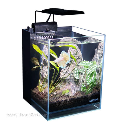 Lifegard Betta Aquarium - 2.65 Gallon