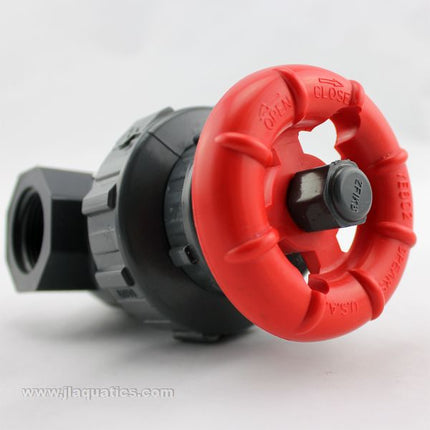 Spears 3/4 Inch Heavy Duty Gate Valve