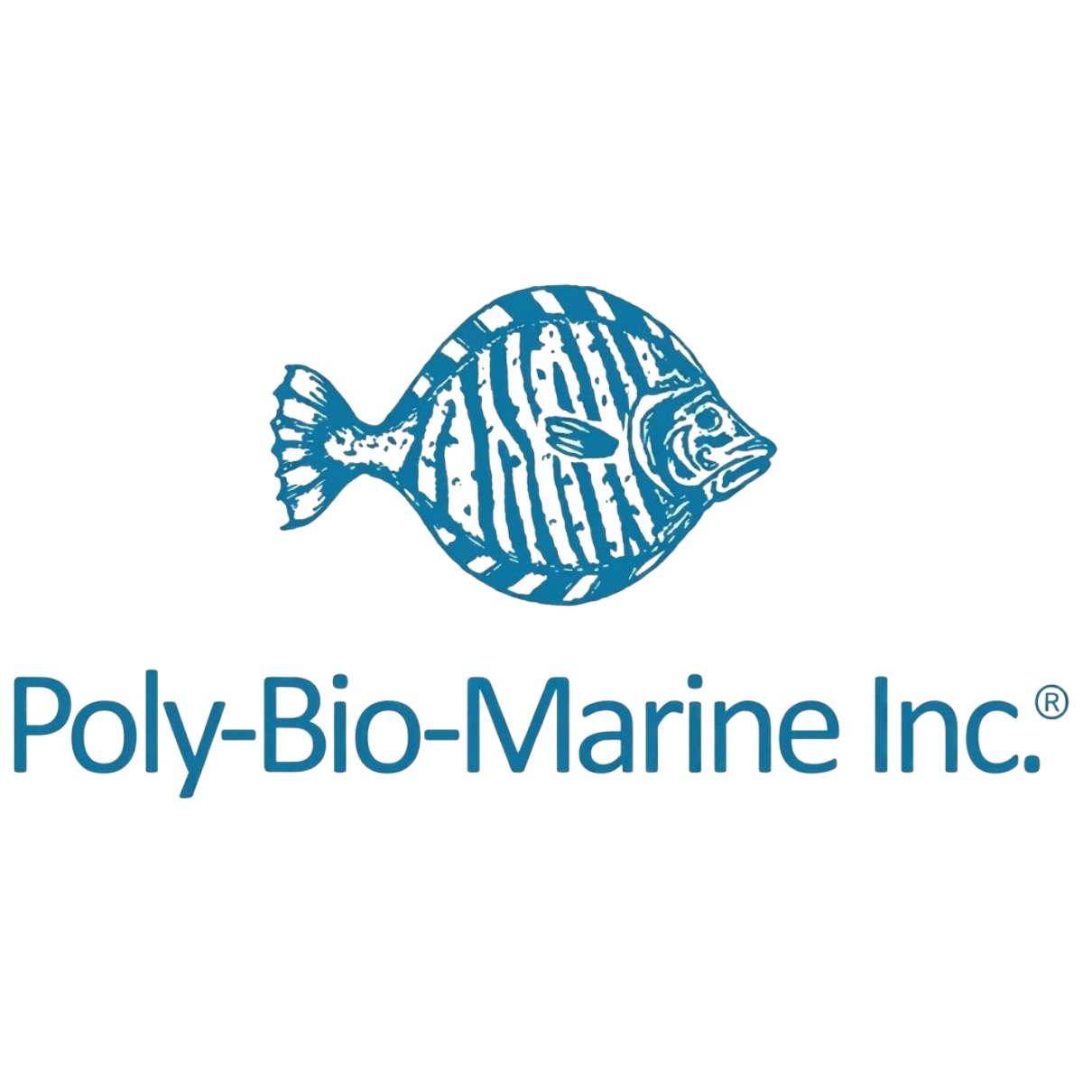 Poly Marine