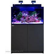 Red Sea Max Nano  G2 XXL and Black Cabinet
