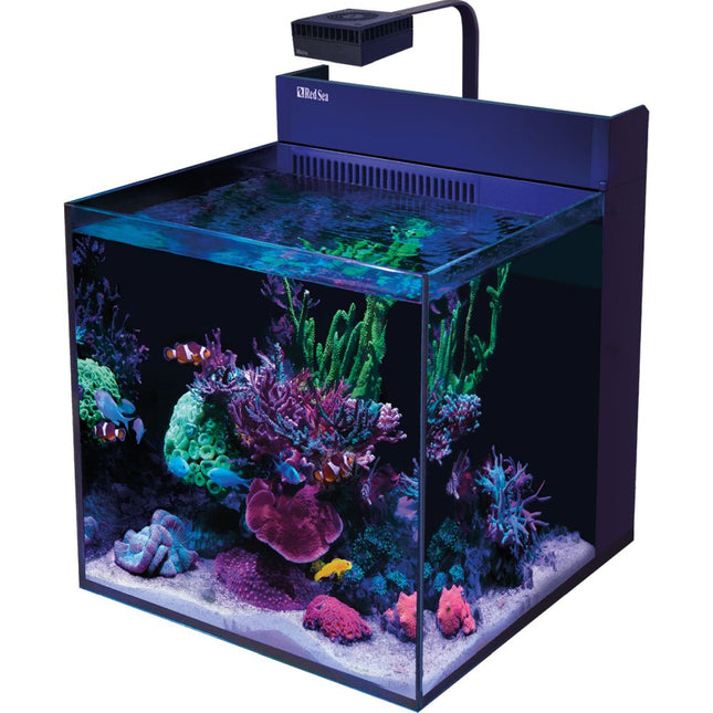 Red Sea Max Nano G2 XL Aquarium setup as a reef aquarium with coral and saltwater fish