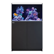 Red Sea Reefer 300 G3 - Black Cabinet