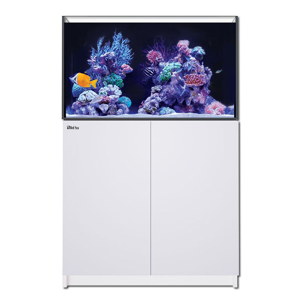 redseareefer250-300_g3_white-