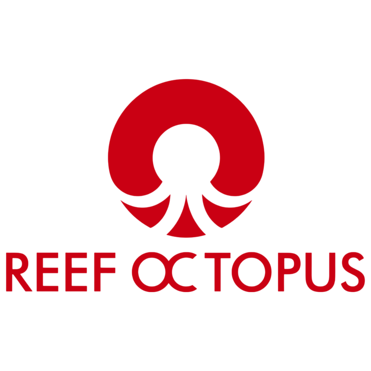 Reef Octopus
